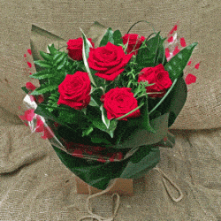 Six red roses