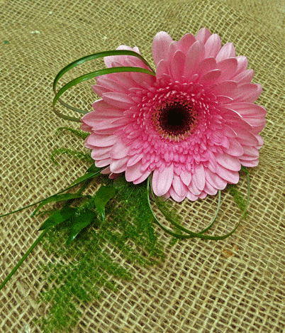 Pink gerbera buttonhole