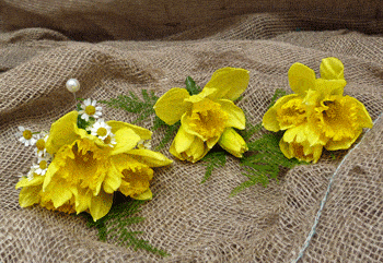 Yellow daffodil buttonhole