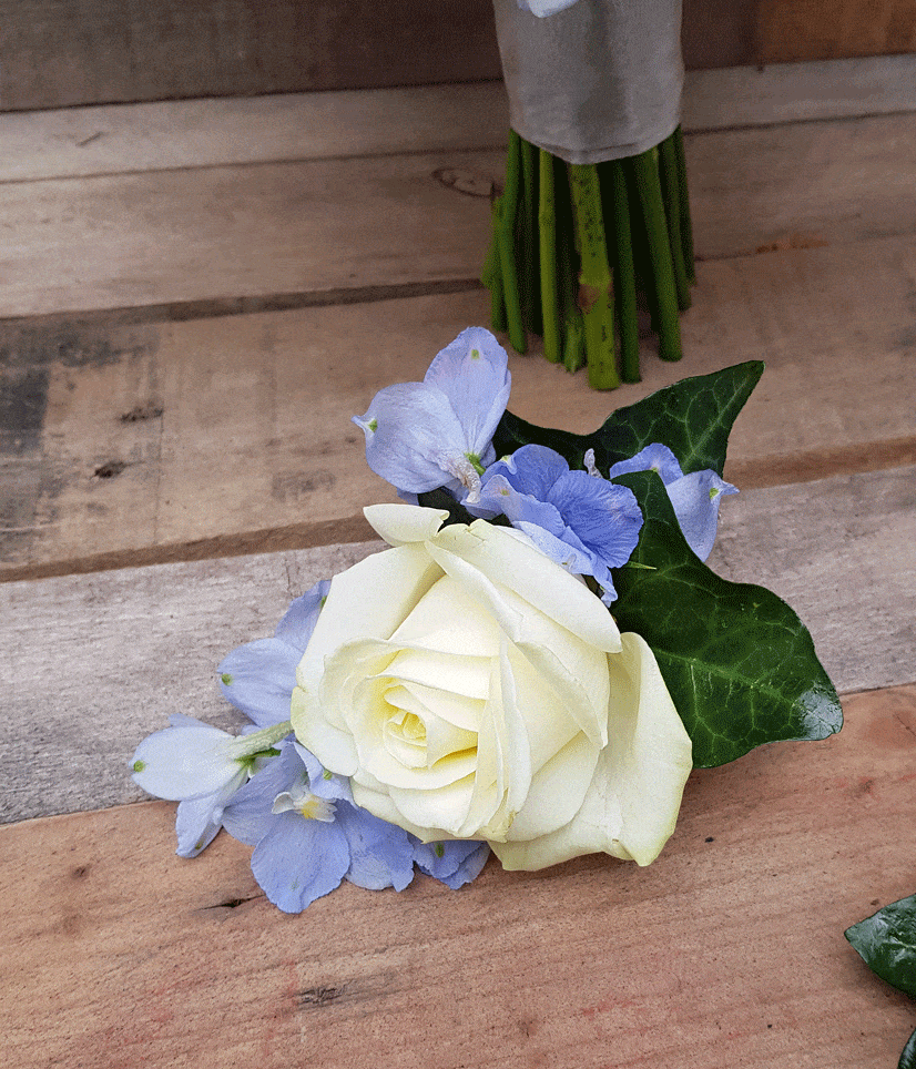 White Rose blue delphinium buttonhole